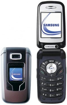 Samsung Z310 صورة