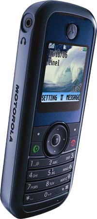 Motorola W205 صورة