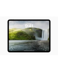 Apple iPad Pro 13-inch 5G 7th gen 2024 Global TD-LTE A2926 256GB photo